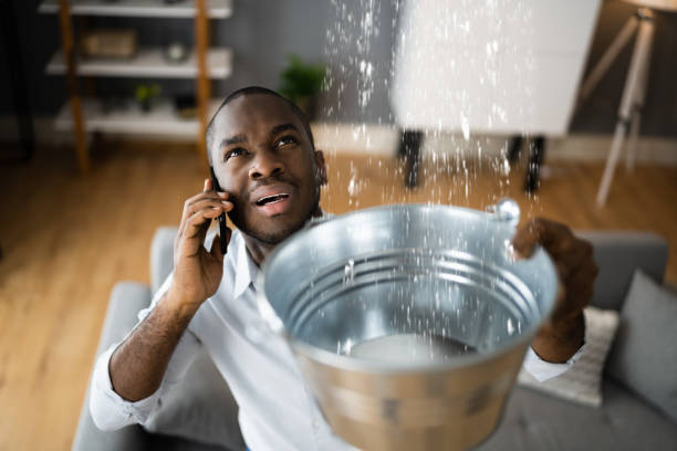 Best Water damage restoration near me  in Monette, AR