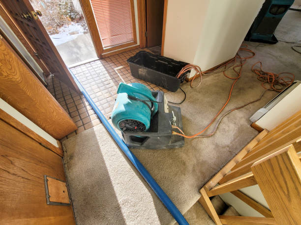 Best Commercial water damage restoration  in Monette, AR