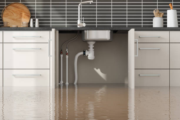 Best Water damage contractors near me  in Monette, AR